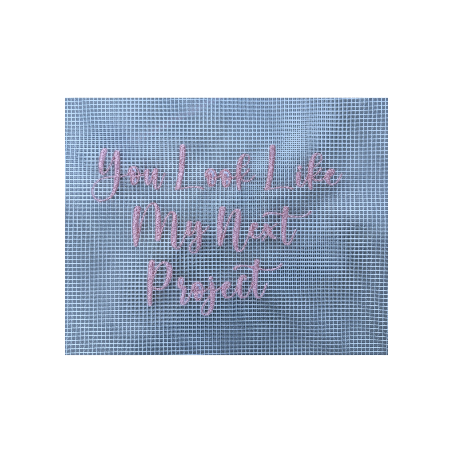 "You Look Like My Next Project" Project bag