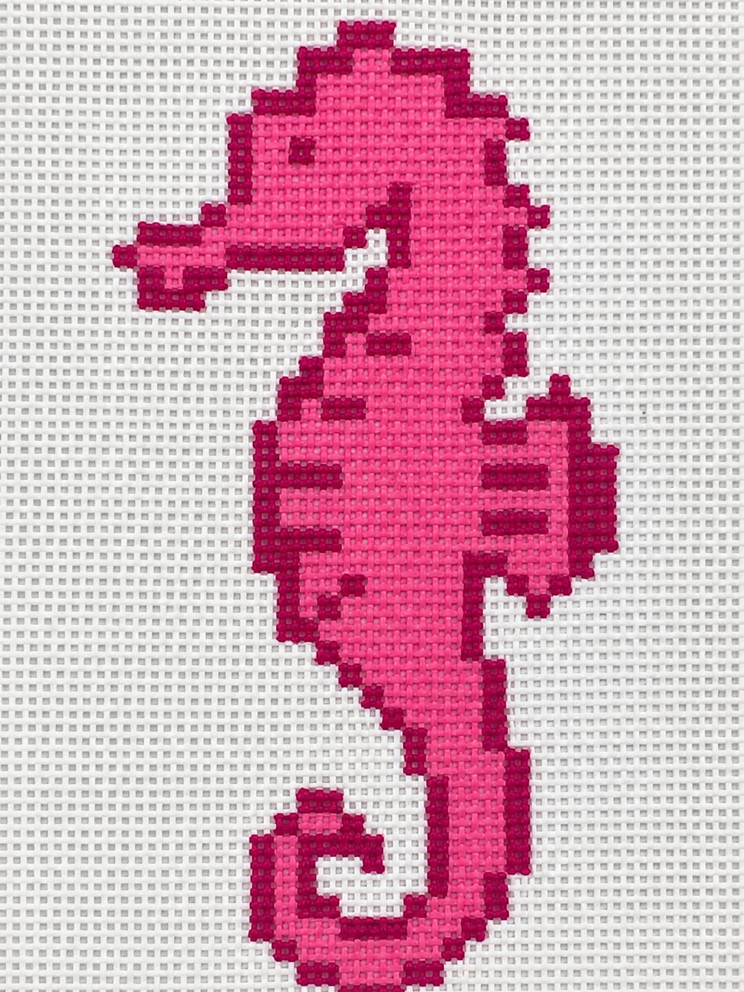 Sea horse mini canvas