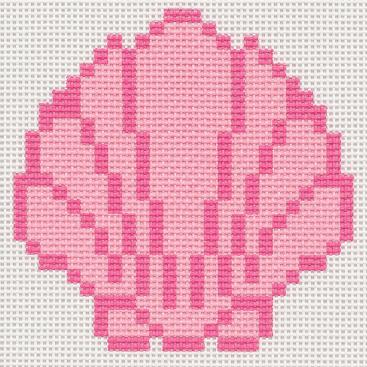 Pink Shell Mini Canvas