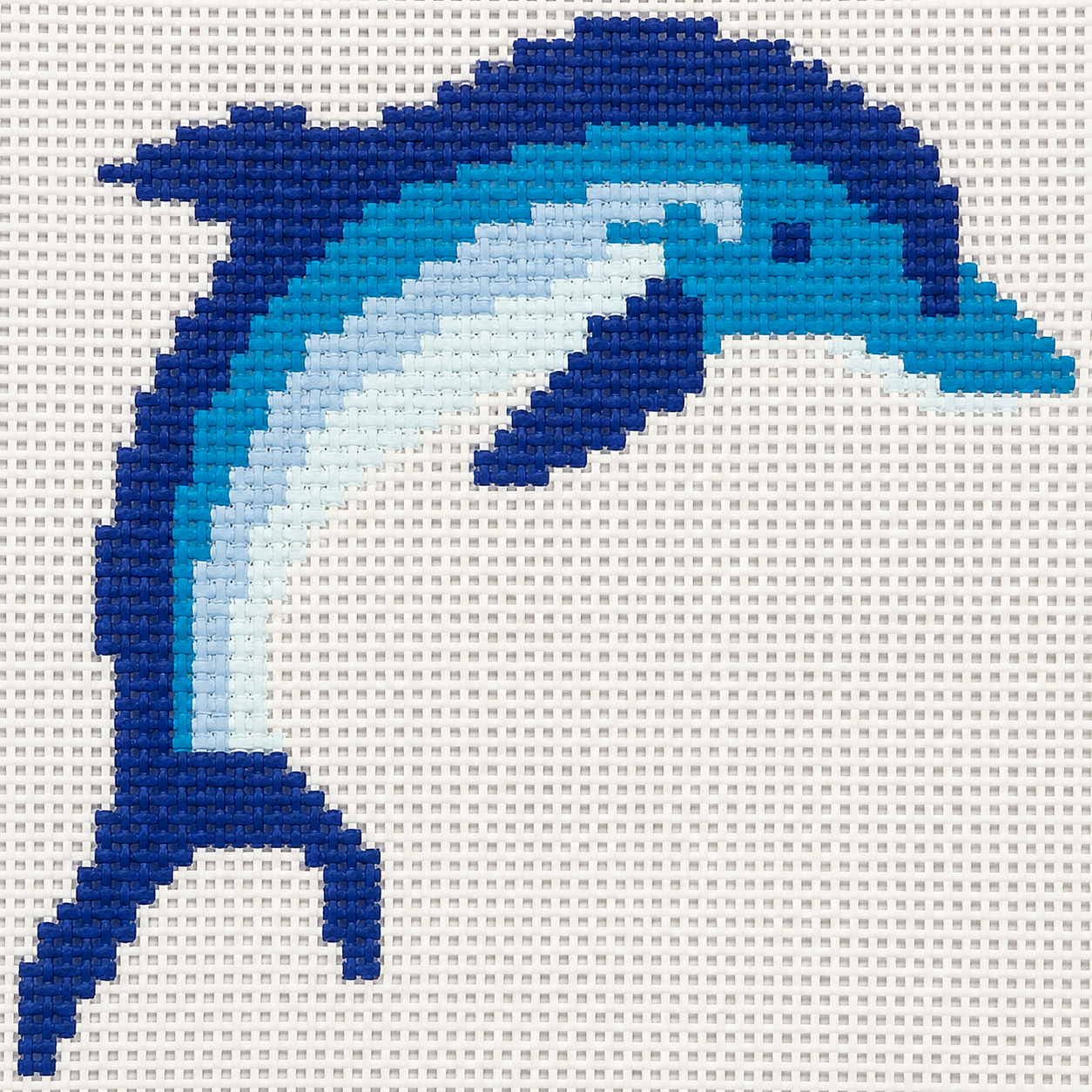 Dolphin mini canvas