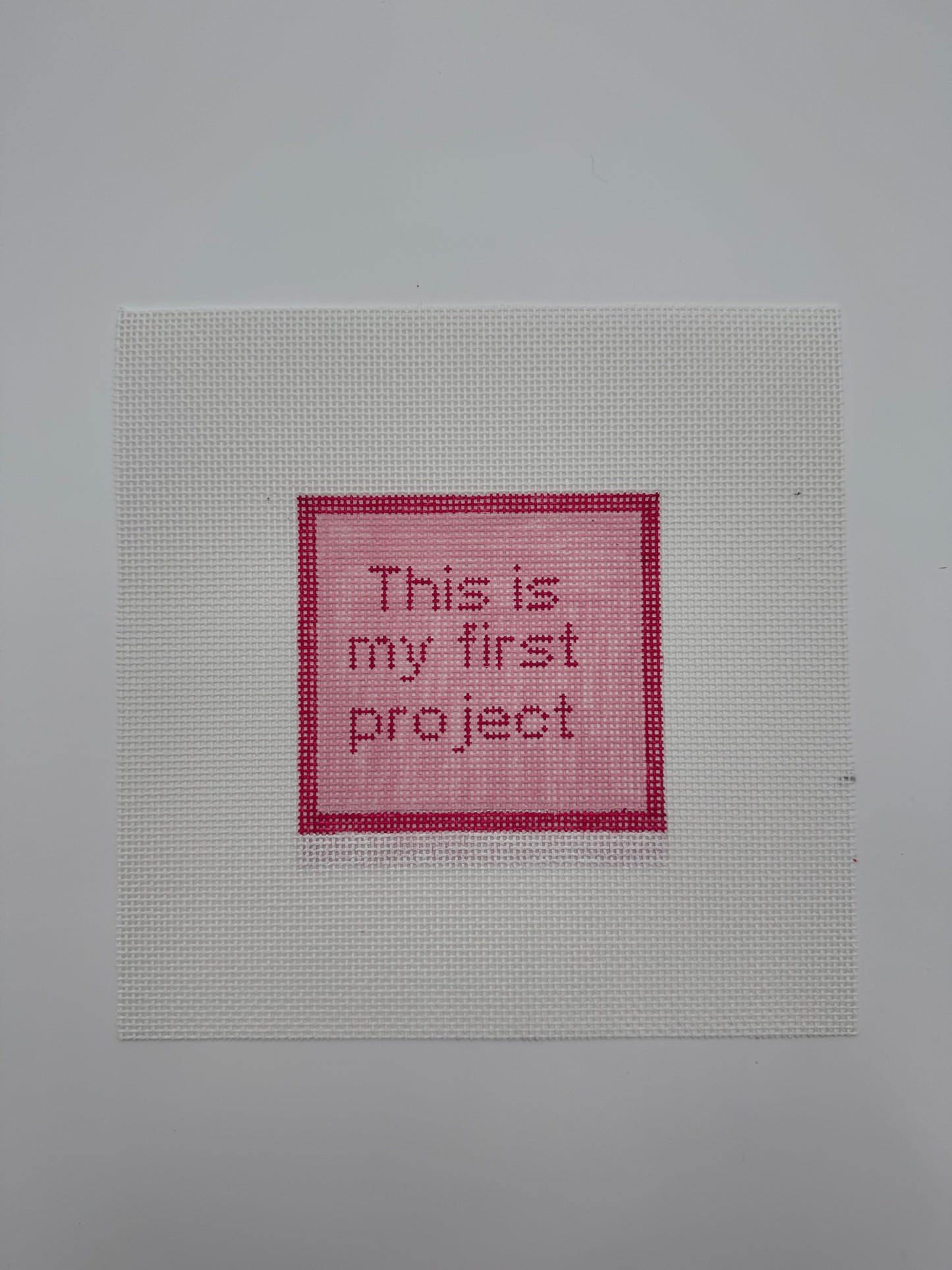 My First project Needlepoint Kit